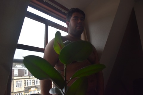 22 y/o cover image