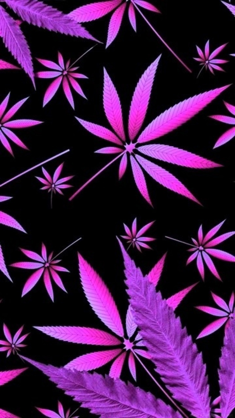 SouthernBunny420 cover image