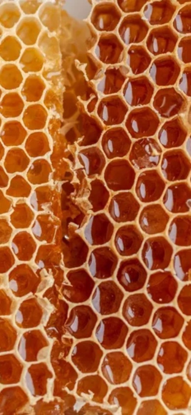 Southernhoney cover image