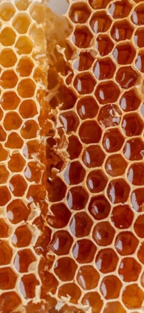 Southernhoney cover image