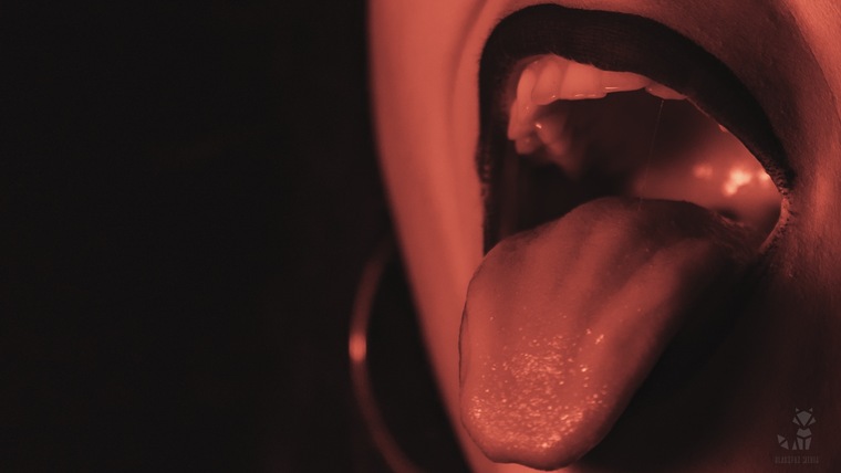 𝔩𝔞 𝔤𝔬𝔱𝔦𝔠𝔞 cover image