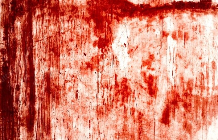 Elizabeth grey banner image