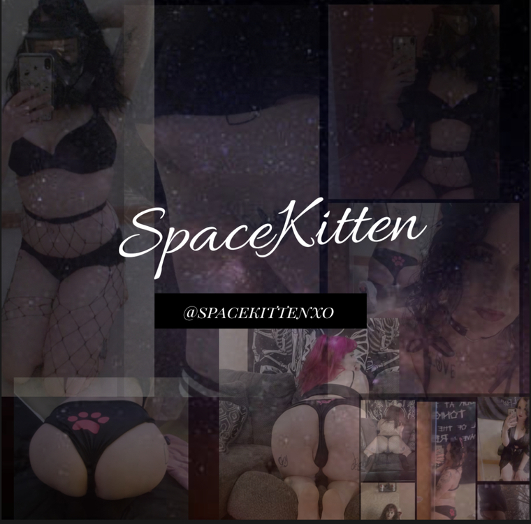 🛸Space kitten🛸 VIP✨ banner image