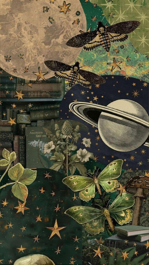 Spacequeen Daydream cover image