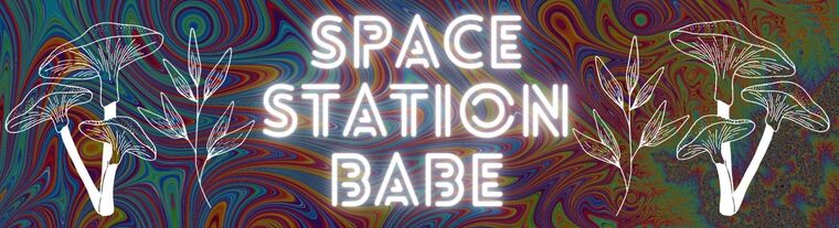 spacestationbabe cover image