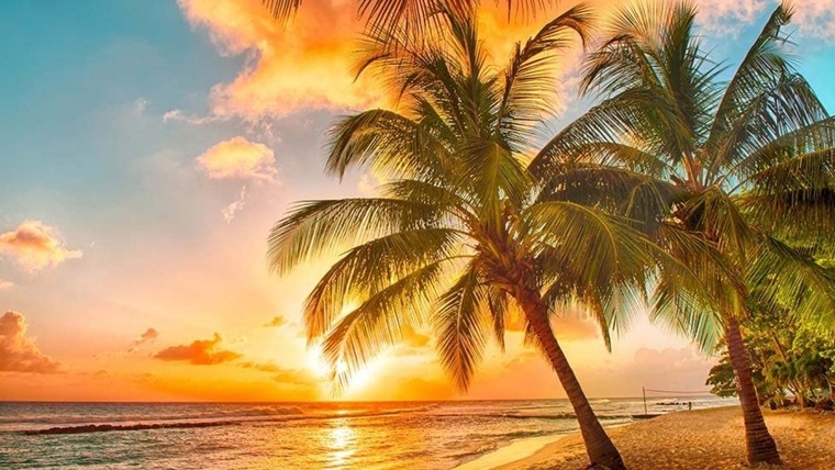 SpanishOnHeelsForYou banner image