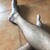 Spanish feet avatar