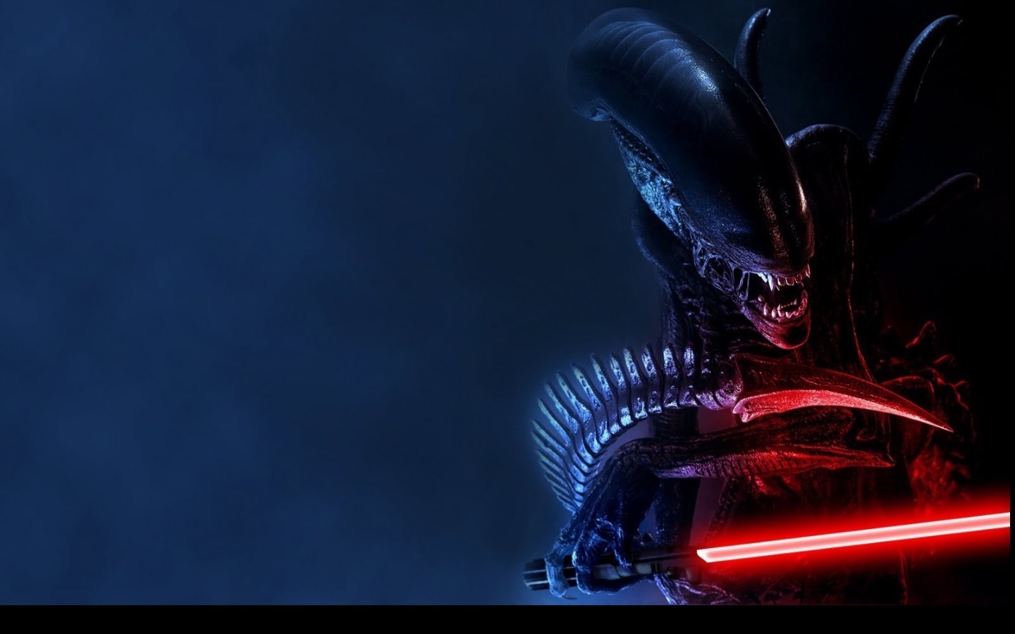 Redd banner image