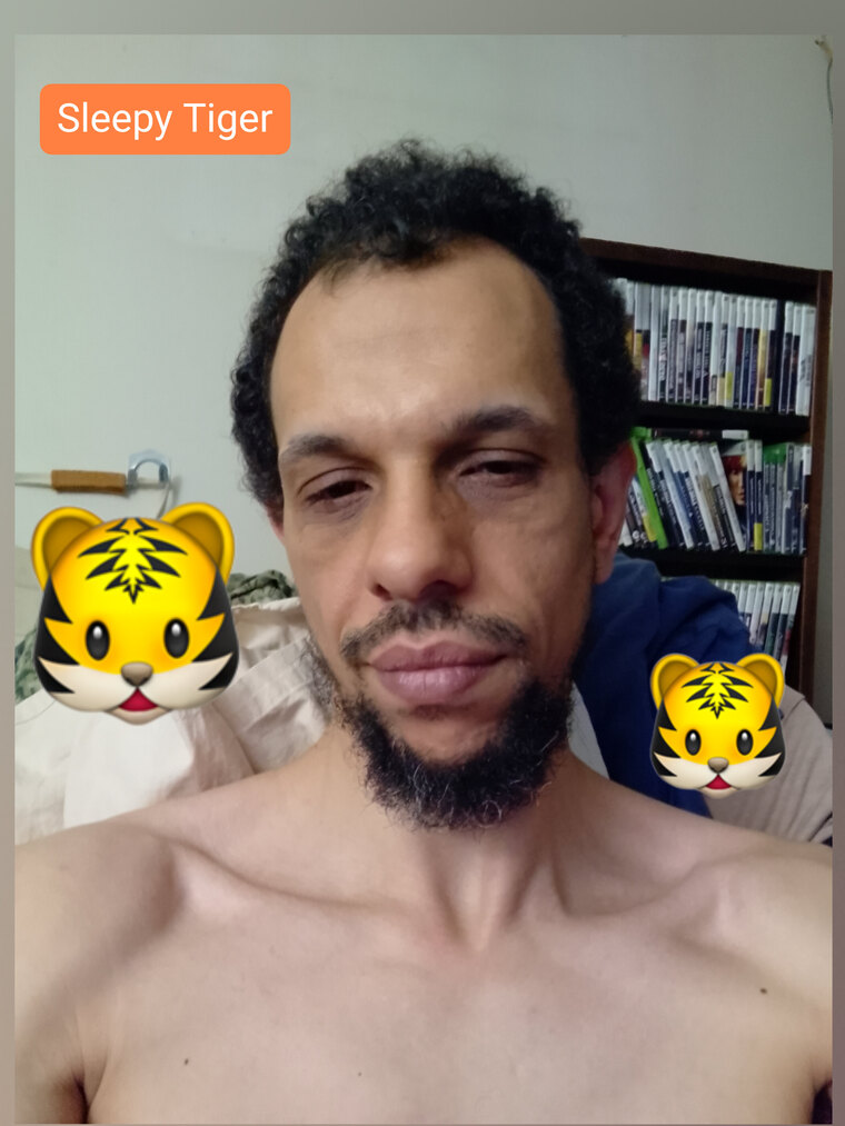 SparkItUpFuzzyTiger banner image