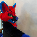 Sparks Husky avatar