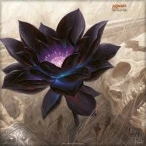 Sphynx cover image