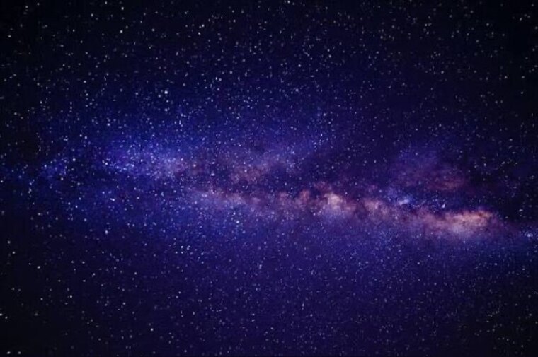spice_papi banner image