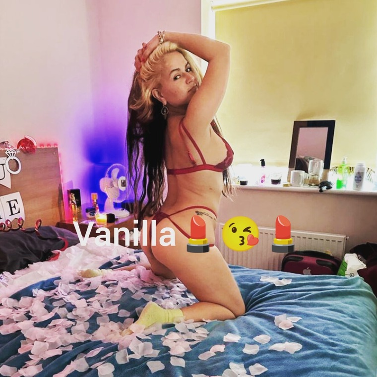 Spicevanilla banner image
