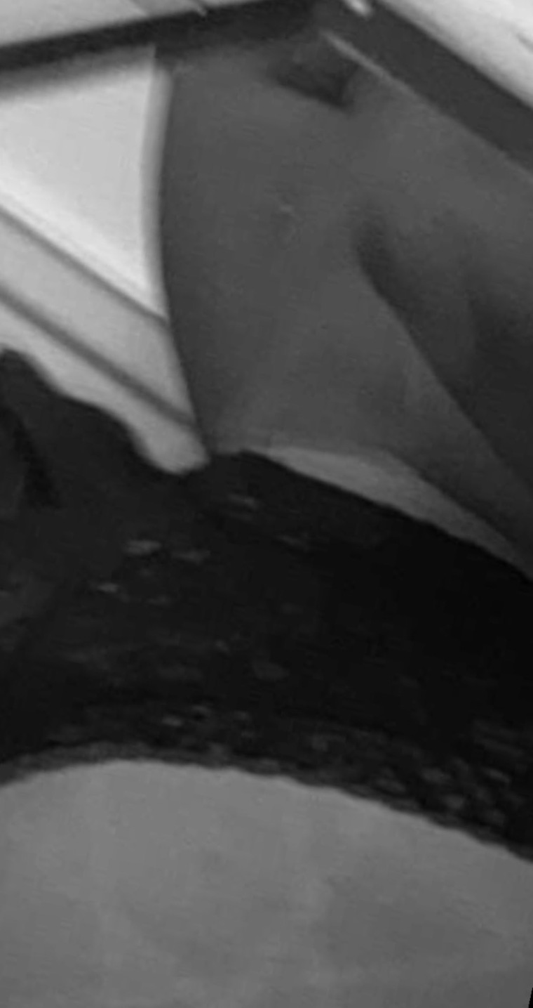 Spicylatina27 banner image