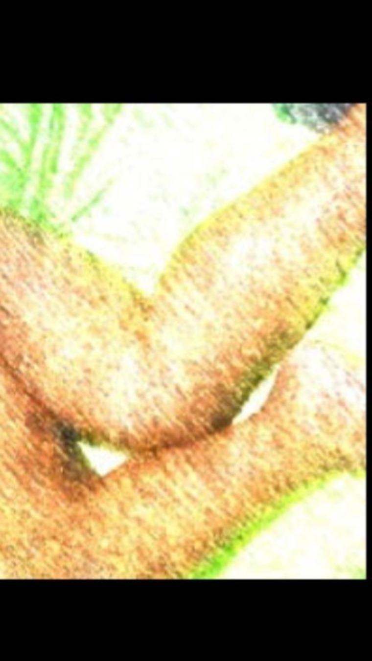 Latinahot19mex banner image