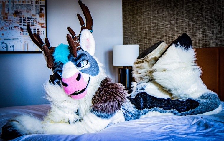Rørek banner image