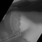 Spicywitch avatar