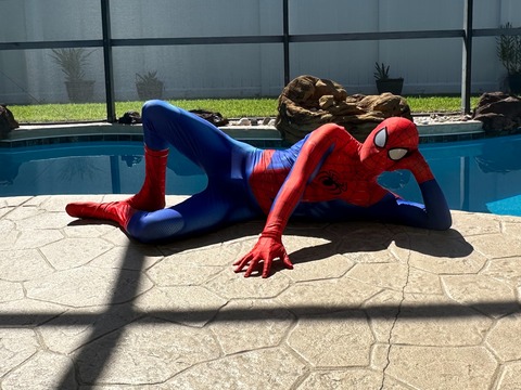 Spidey Seduction cover image