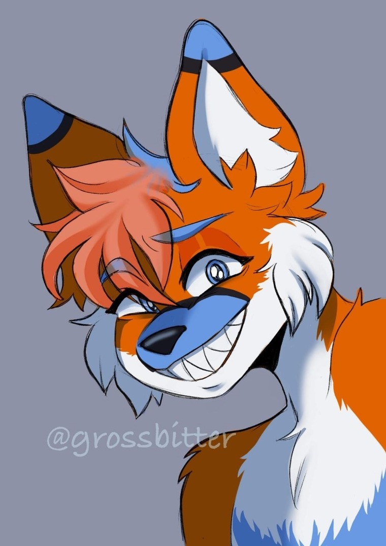 Spikefox cover image