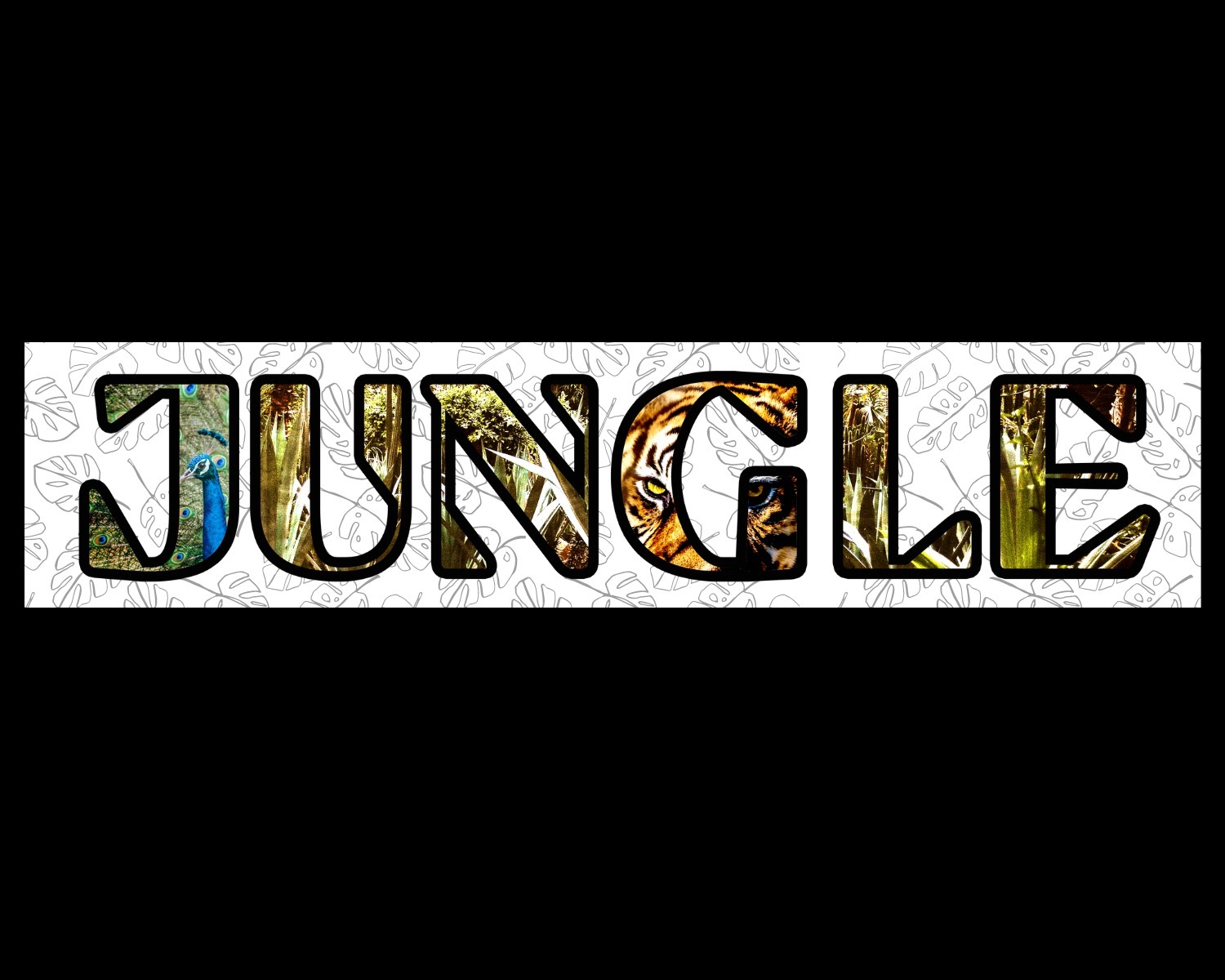 SpinachPapii banner image
