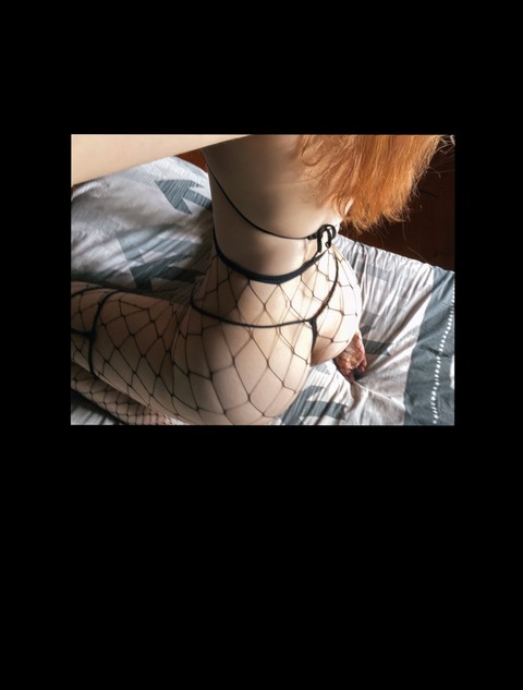 Spoiled Cat cover image