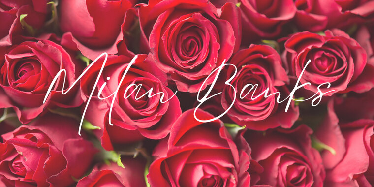 Ms. Banks banner image