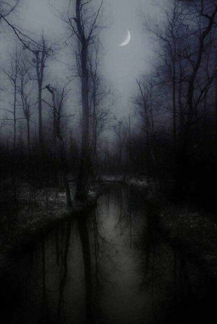 Winter cover image