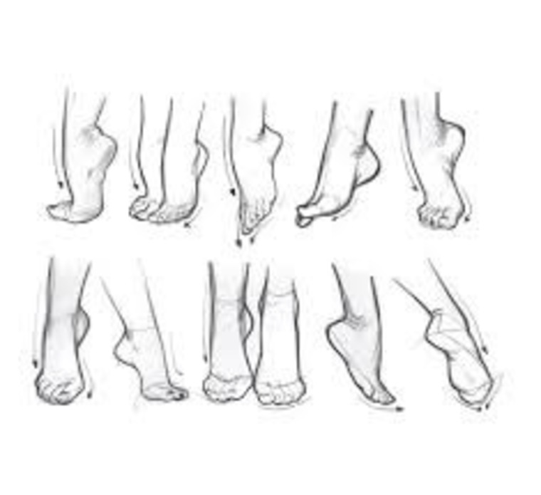 Spicy Feet Secret banner image