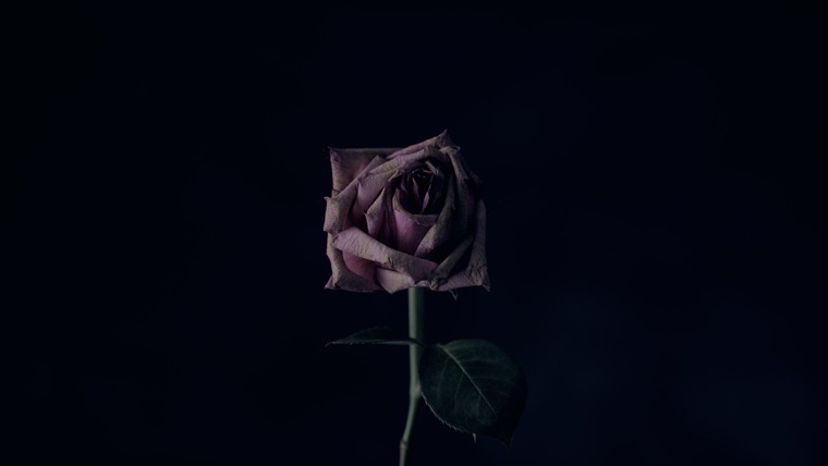SG cover image