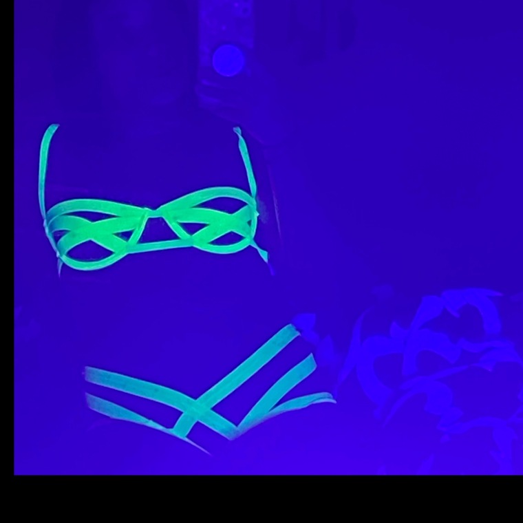 Shy cover image