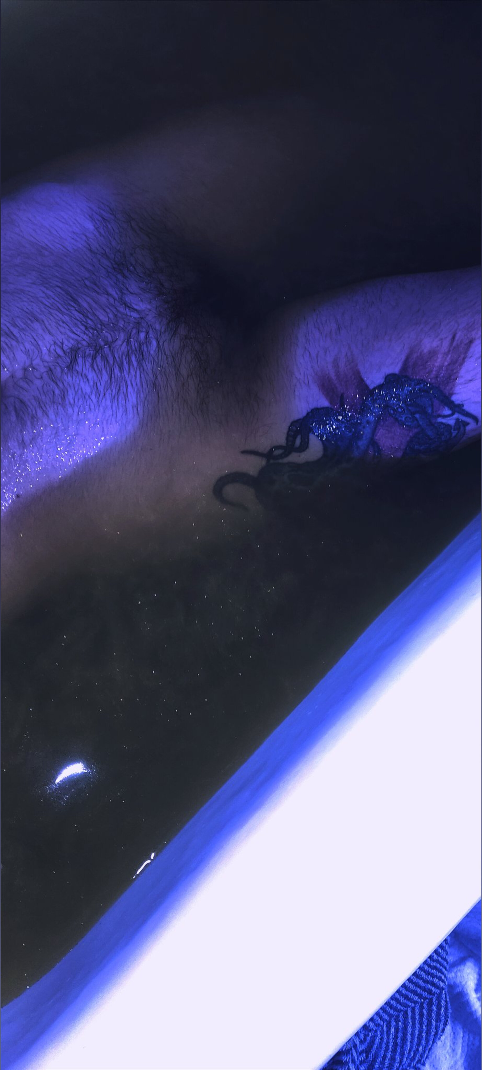 β¨ DOM β¨ π³οΈββ§οΈ π₯ banner image