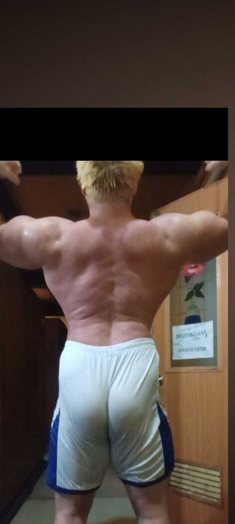 Super Saiyan Flex cover image