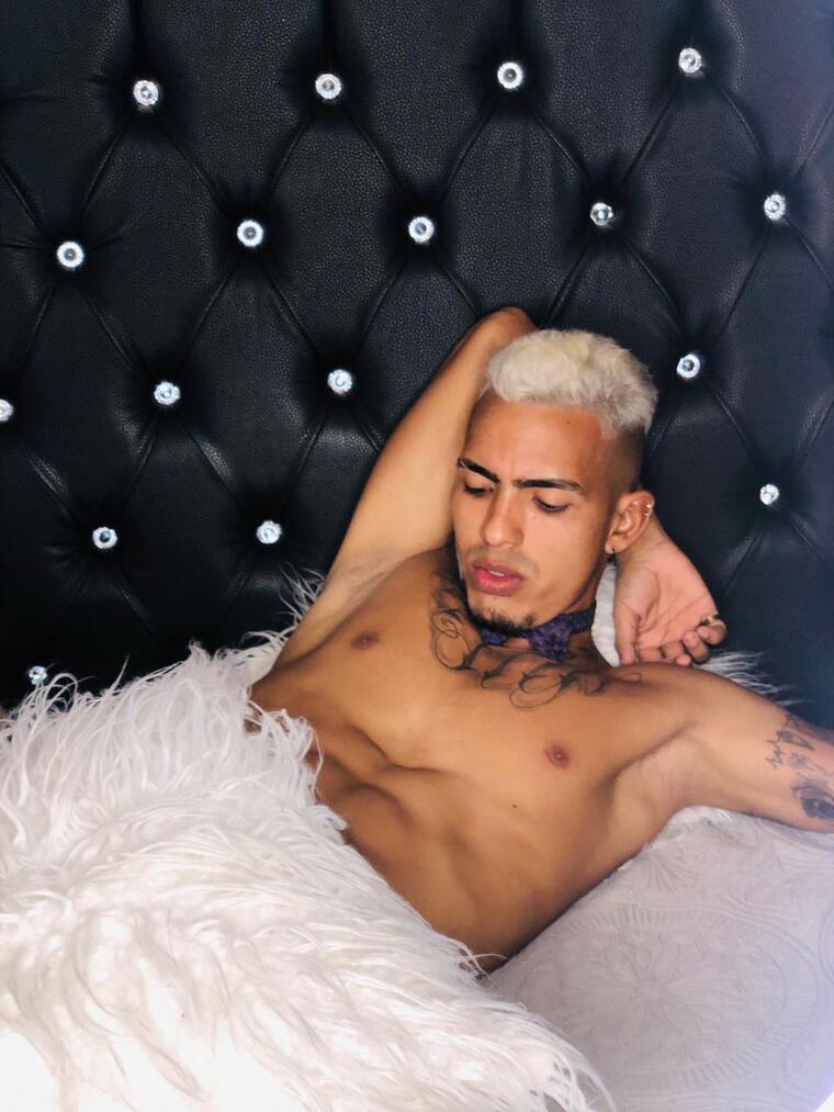 STEPHANOO banner image
