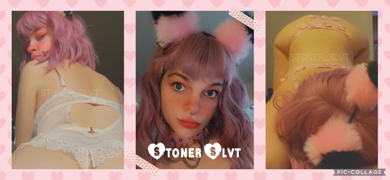 🍃DankFree🍃BDAY3/15 cover image