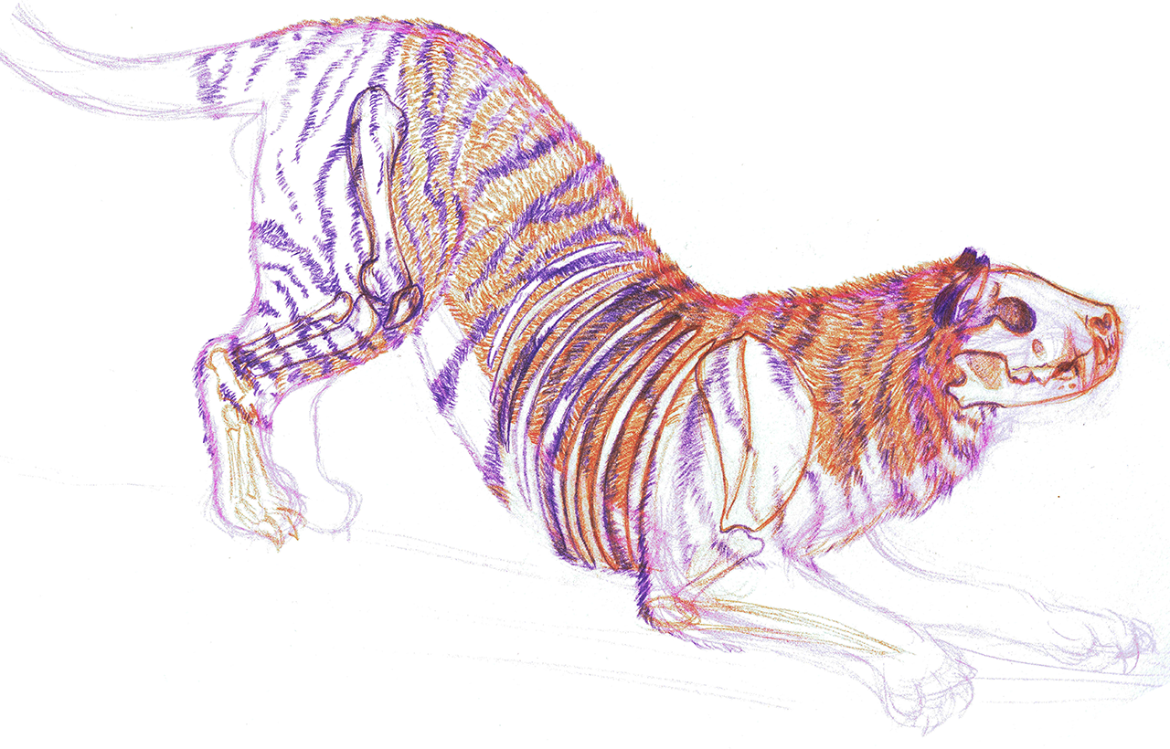StabbyDraws🔞 banner image