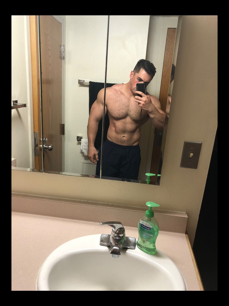 Mr. Stallion cover image