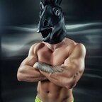 STALLION_from_PARADISE avatar