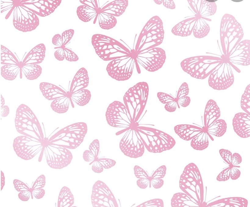 Star.r <3 banner image