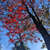 Capricorn_98 avatar