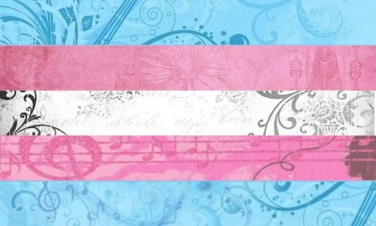 Star banner image