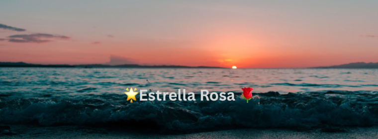 STARRR ROSA banner image