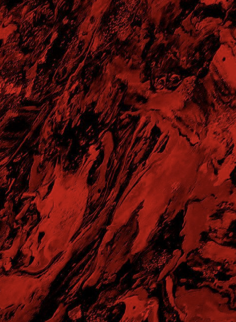 ari lee cover image
