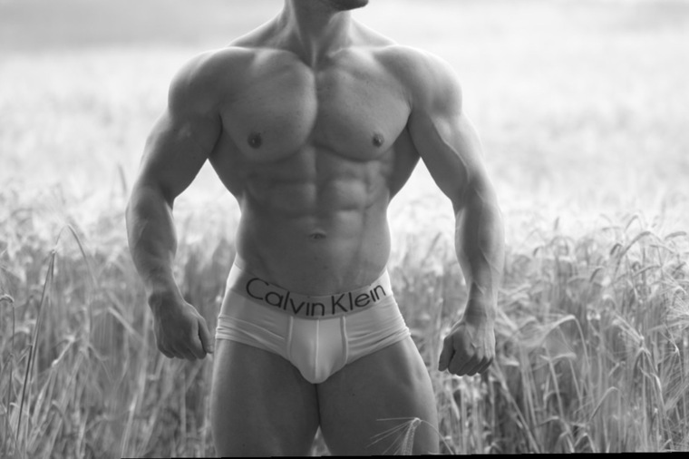 Ste Taylor cover image