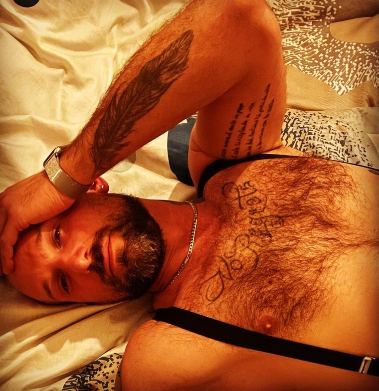 Stefano banner image