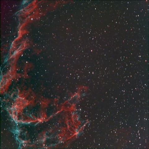 Greg Gee cover image
