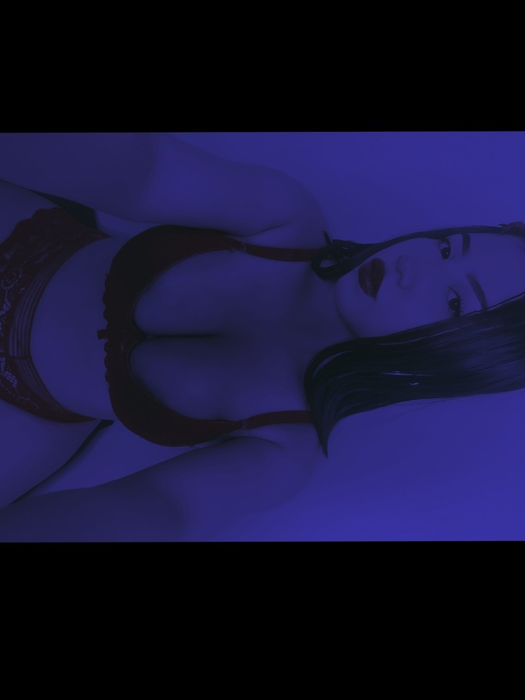 Steff banner image