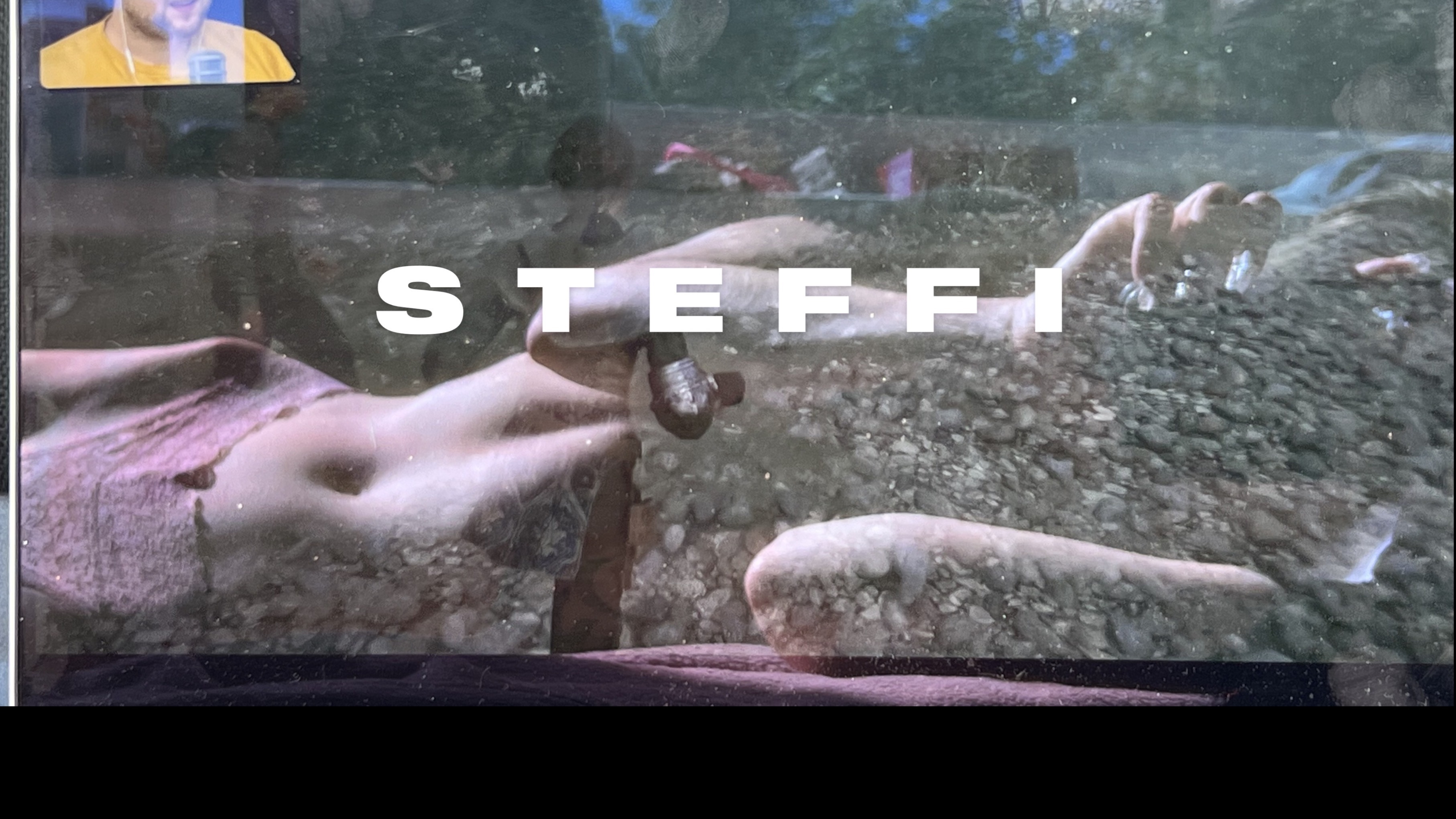 steffi banner image