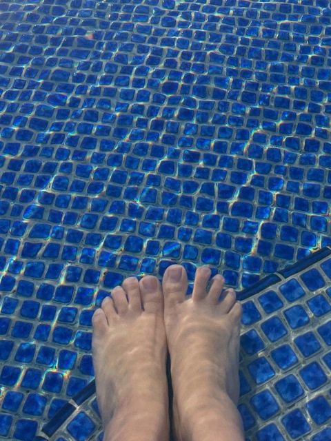 Steffy’s Feet cover image