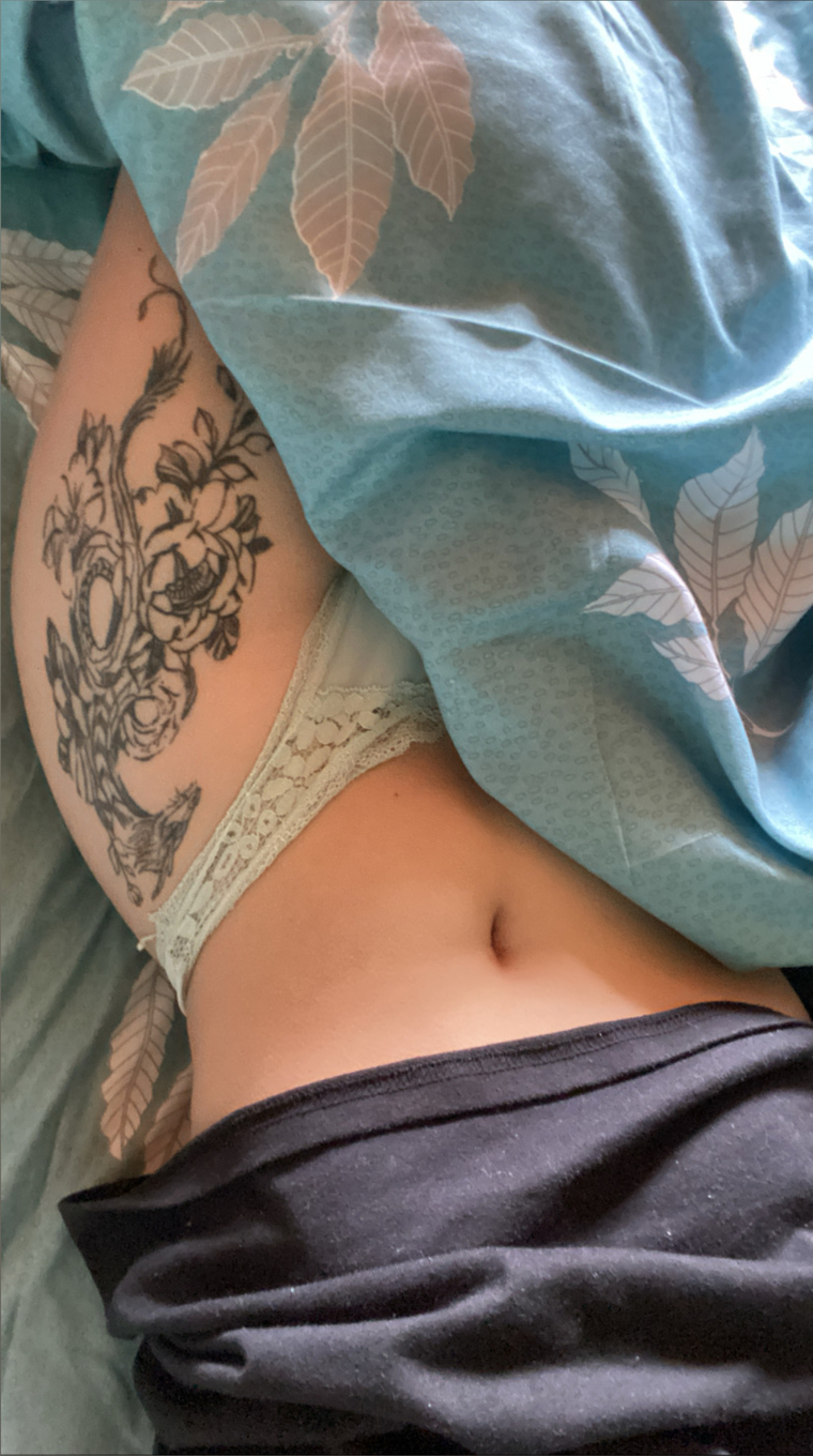 Stefi banner image