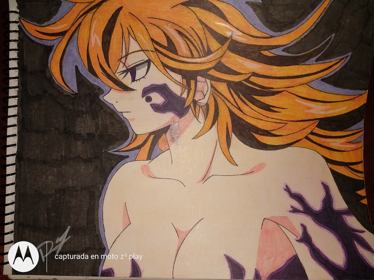 Rai Sanchez banner image